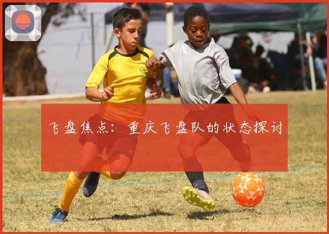 飞盘焦点：重庆飞盘队的状态探讨
