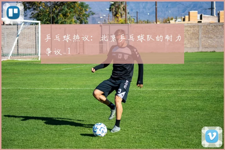 乒乓球热议：北京乒乓球队的耐力争议_1