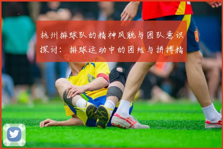 杭州排球队的精神风貌与团队意识探讨：排球运动中的团结与拼搏精神