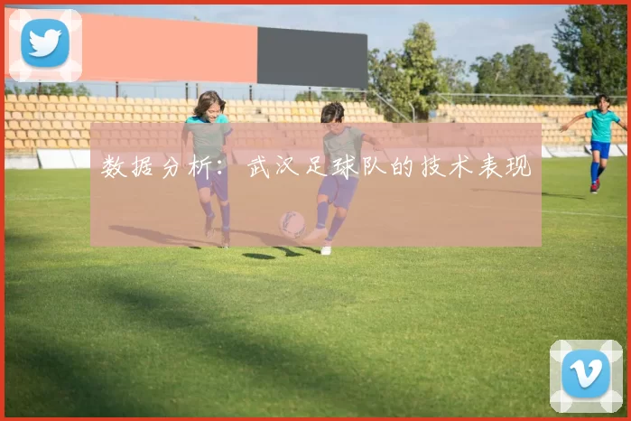 数据分析：武汉足球队的技术表现