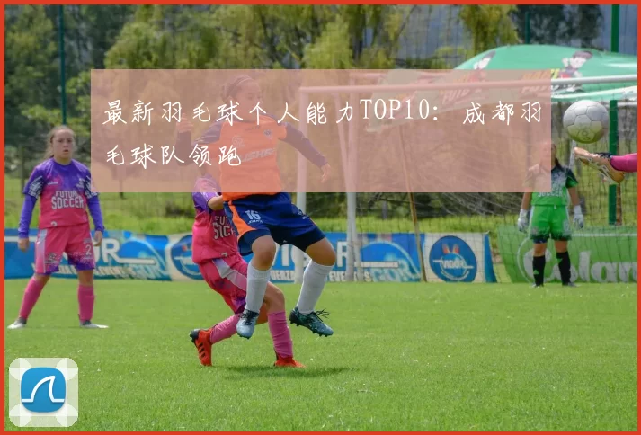 最新羽毛球个人能力TOP10：成都羽毛球队领跑