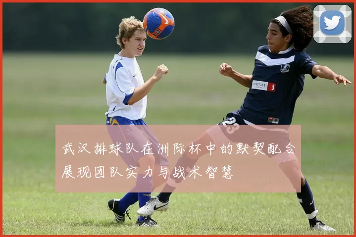 武汉排球队在洲际杯中的默契配合展现团队实力与战术智慧