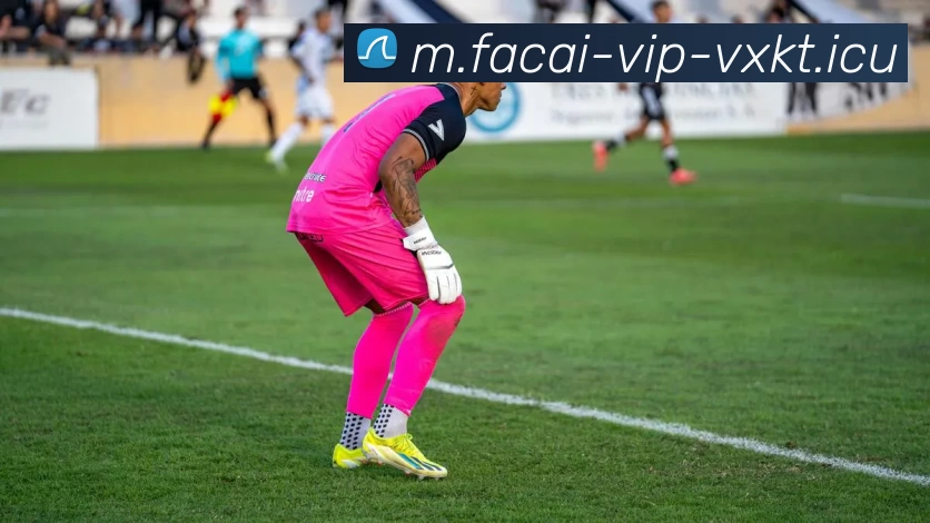 九游体育平台生态图